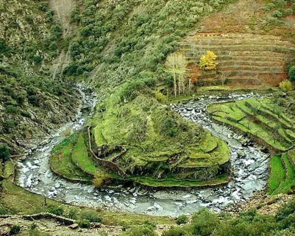 Meandro del Gasco, con sus bancales de piedra, en la alquería de El Gasco (Nuñomoral)